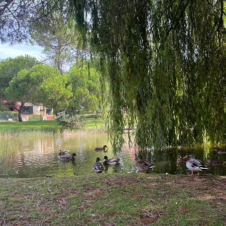 A Beira - Casa De Ferias *