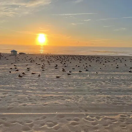 Prázdninový dům A Beira - Casa De Ferias Mira (Coimbra)