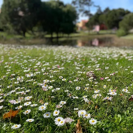 A Beira - Casa De Ferias Prázdninový dům *