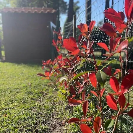 Nyaraló A Beira - Casa De Ferias Mira